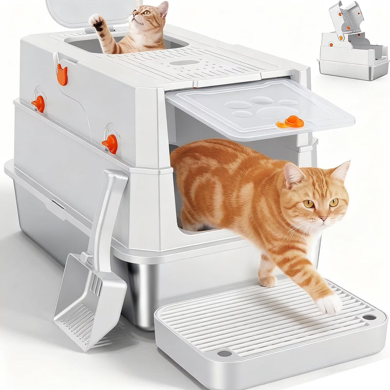 How to Keep Your Home Clean When You Have Pets