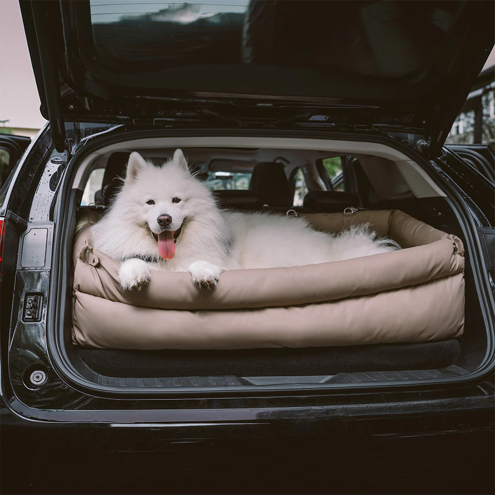 Dog Beds & Calming Beds