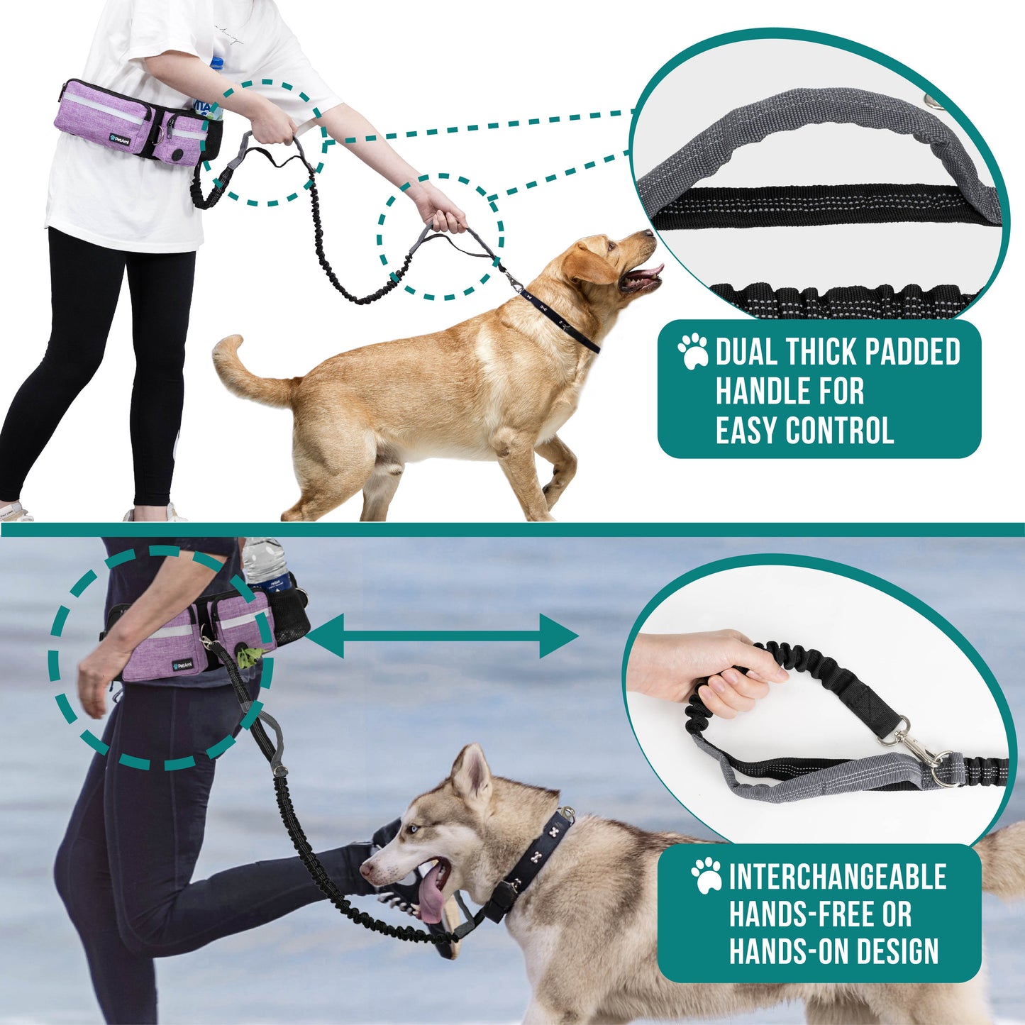 Hands Free Dog Leash, Dog Running Leash Belt Bag for Walking, Jogging, Dog Waist Double Zipper Pouch with Poop Bag Dispenser, Dual Padded Handles Reflective Bungee Leash, Single (Purple)