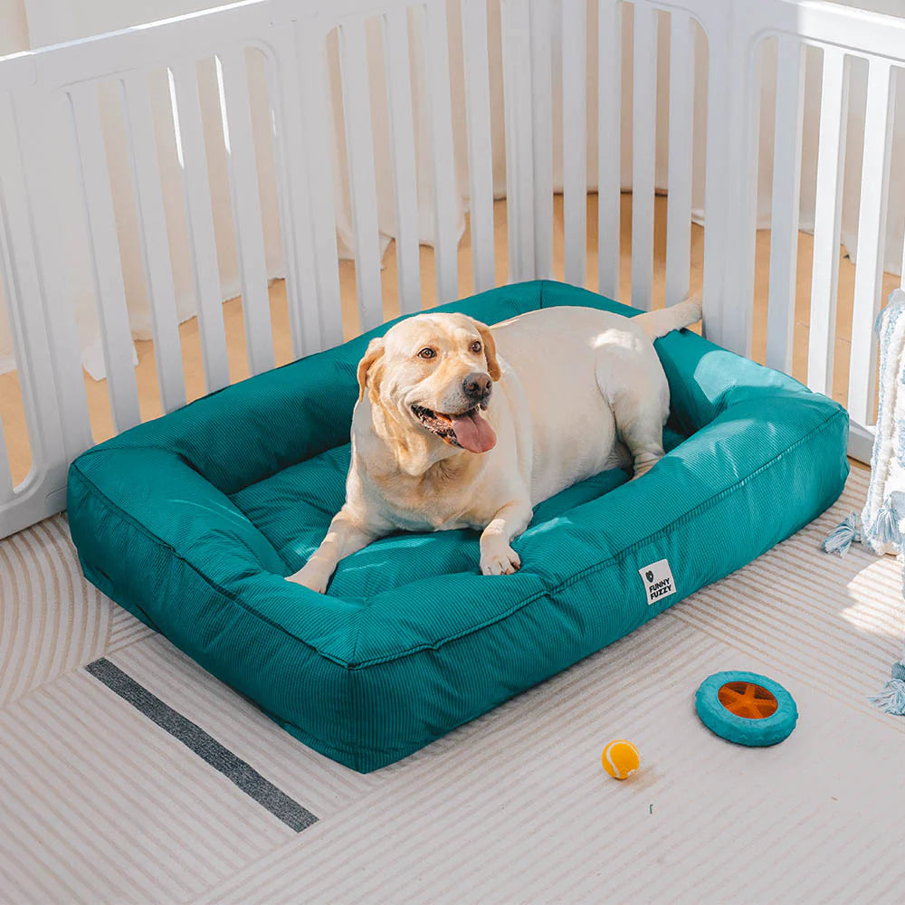 Waterproof fully enclosed dog bed with raised bolstered edges