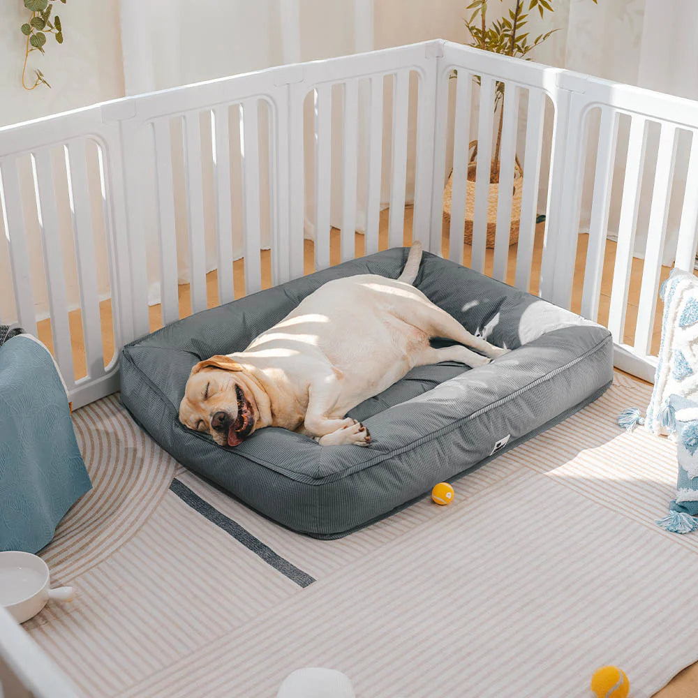 Waterproof fully enclosed dog bed with raised bolstered edges
