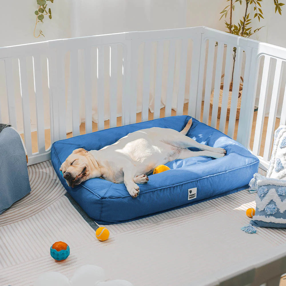 Waterproof fully enclosed dog bed with raised bolstered edges