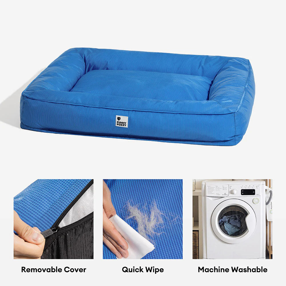Waterproof fully enclosed dog bed with raised bolstered edges