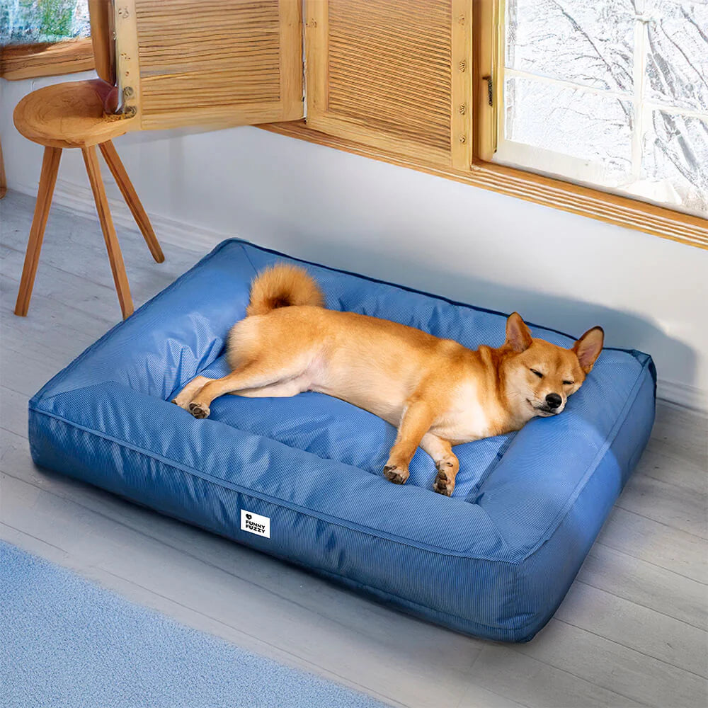 Waterproof fully enclosed dog bed with raised bolstered edges