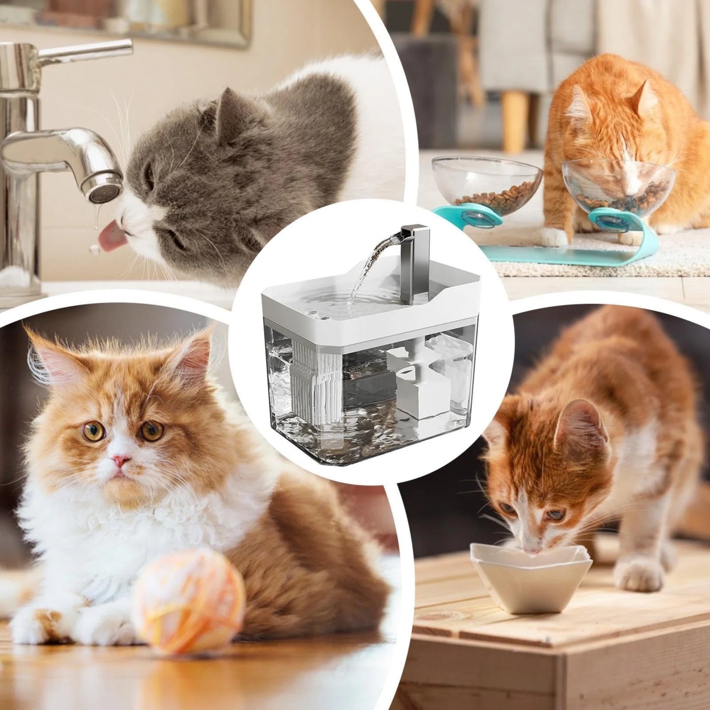 Cats Mobile Drinking Smart Pet Fountain Large Capacity 1500Ml Automatic Water Feeder with Silent Pump and 360° Drinking Access