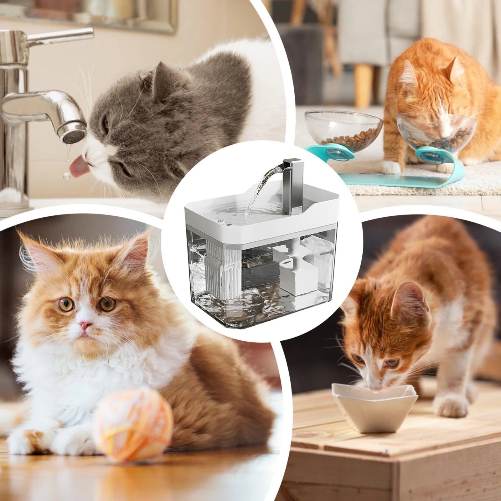 Cats Mobile Drinking Smart Pet Fountain Large Capacity 1500Ml Automatic Water Feeder with Silent Pump and 360° Drinking Access