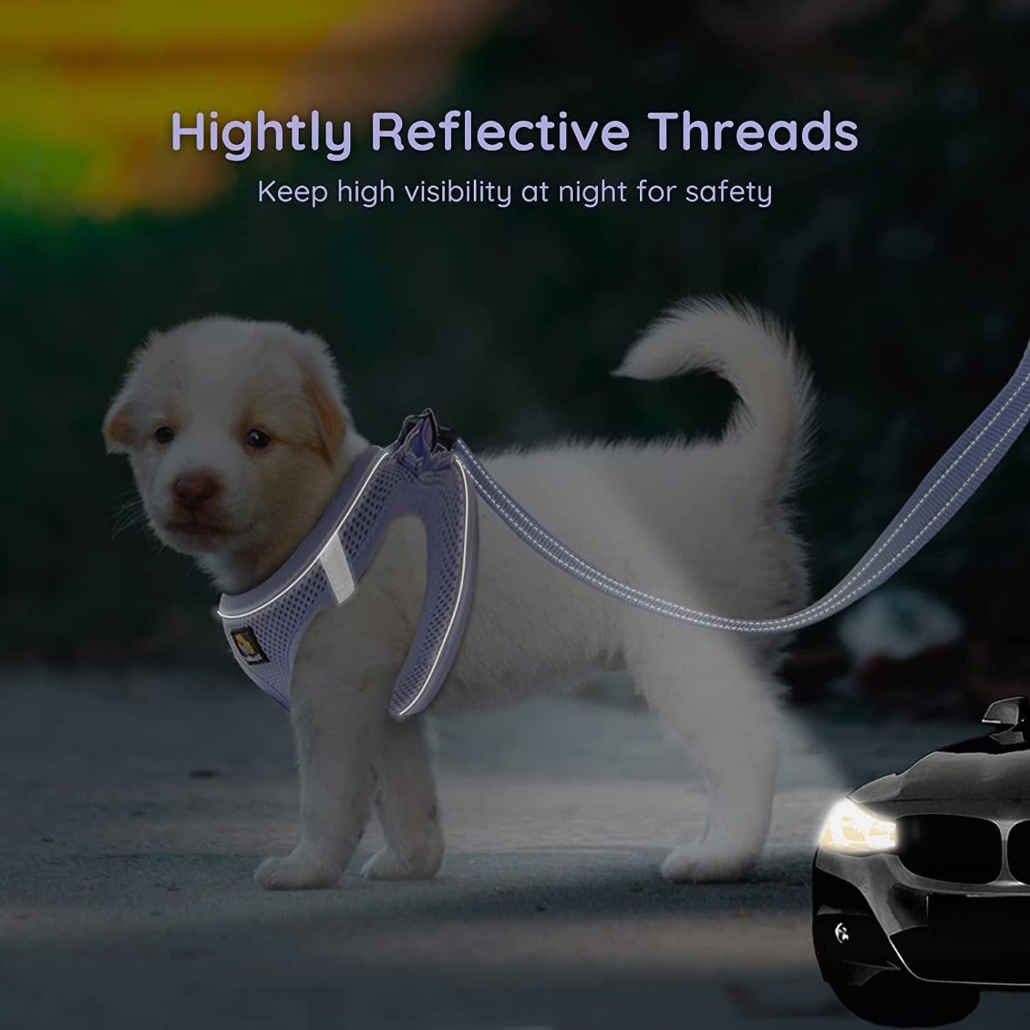 Puppy Harness and Leash Set,Reflective Adjustable Dog Harness for Small Dogs No Pull,Step in Soft Mesh Harness for Small and Medium Dogs,Purple Lavender,S