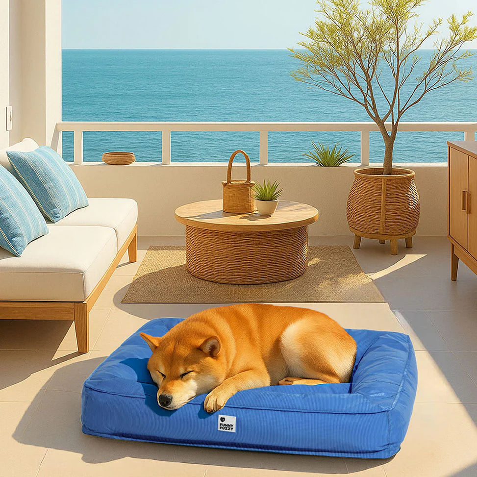 Waterproof fully enclosed dog bed with raised bolstered edges